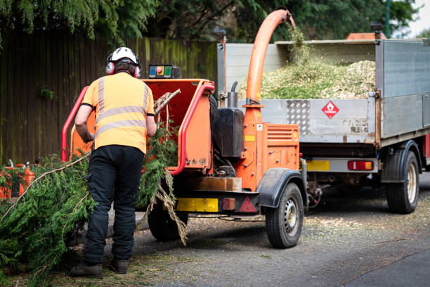 Best Pest Control for Lawns  in Stowell, TX
