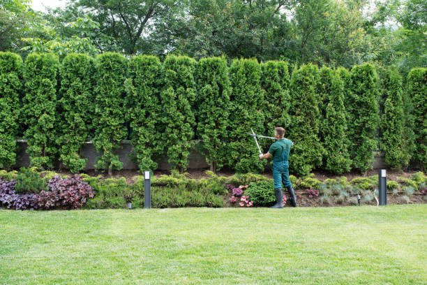 Best Lawn Mowing  in Stowell, TX