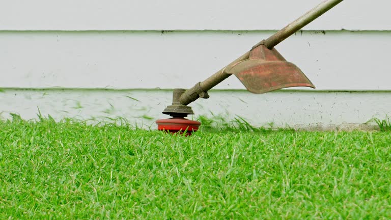 Best Sod Installation  in Stowell, TX